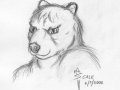 s_bear_portr.jpg